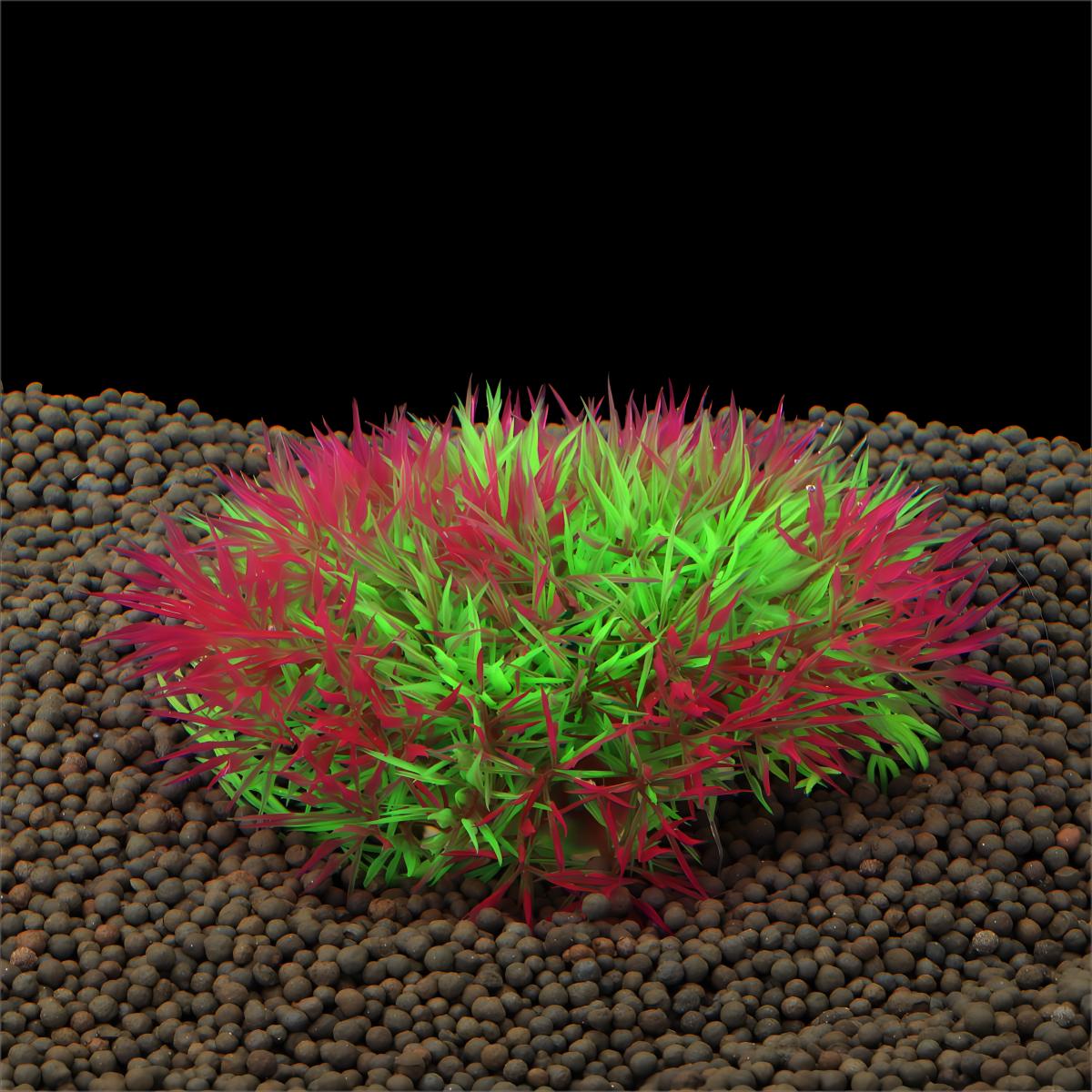 人工水草水槽植物装飾魚タンク景観草装飾プラスチック水生水草飾 - Aquarium Fish Enrichment のレビューと価格