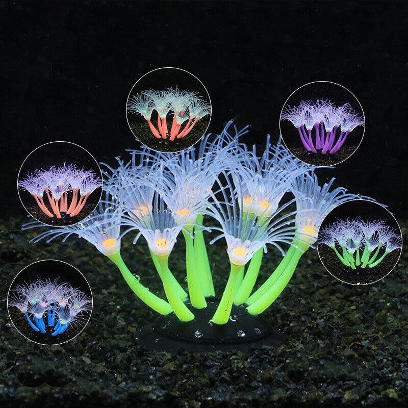 シリコン製光る景観人工魚タンク水槽蛍光サンゴひまわり海葵植物 - Aquarium Fish Enrichment のレビューと価格