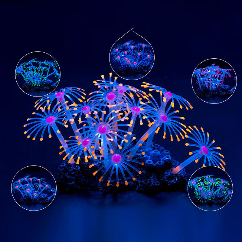 シリコン製光る景観人工魚タンク水槽蛍光サンゴひまわり海葵植物 - Aquarium Fish Enrichment のレビューと価格