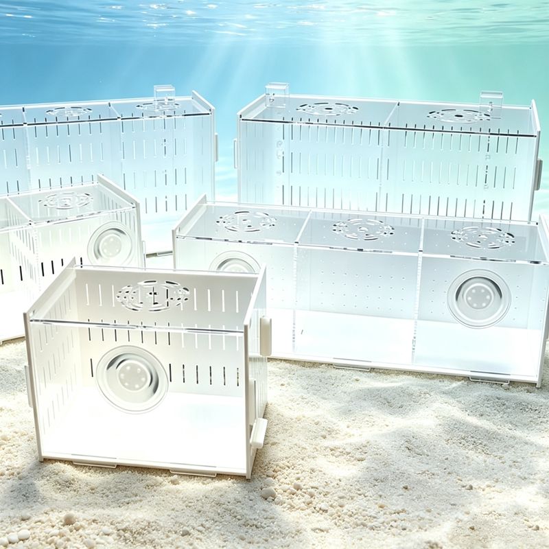 隔離水槽用セパレーター（蓋付き）多機能水槽インキュベーター、 - Aquarium Fish Parrot のレビューと価格