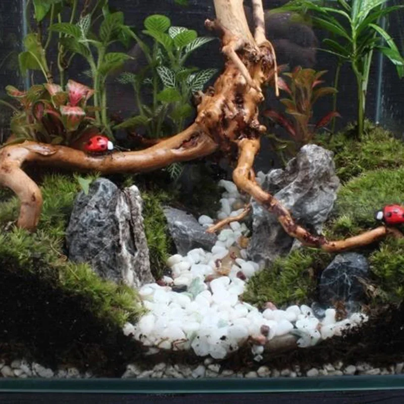 水族館、魚のタンク、爬虫類の根の植物、木の装飾、装飾アクセサ - Aquarium Fish Enrichment のレビューと価格