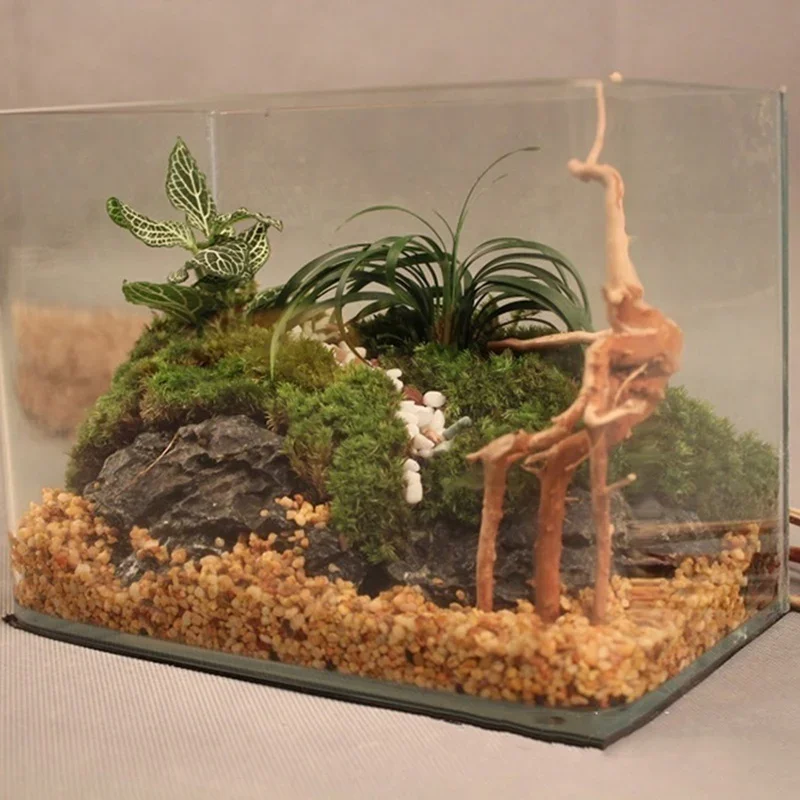 水族館、魚のタンク、爬虫類の根の植物、木の装飾、装飾アクセサ - Aquarium Fish Enrichment のレビューと価格