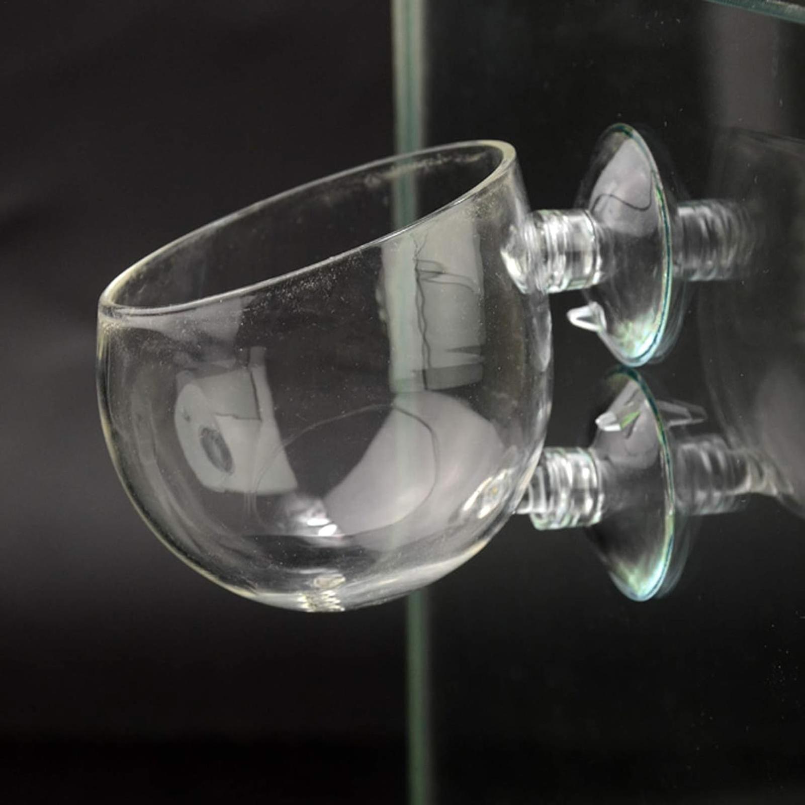 水槽用植物ホルダー ガラス製水草ポット 吸盤付き 生きた植物 - Aquarium Fish Enrichment のレビューと価格
