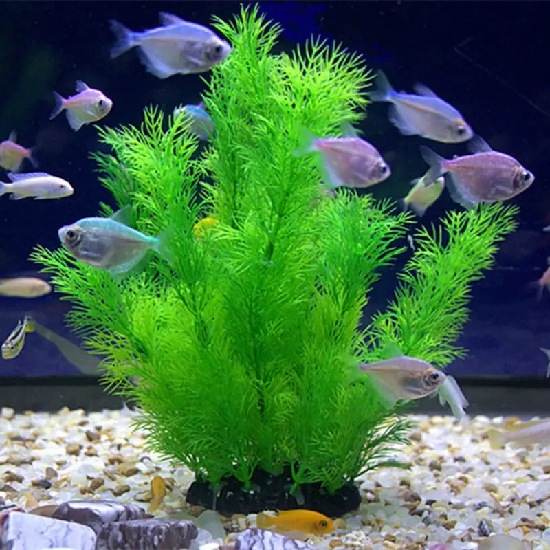 人工水族館の装飾植物水中水草水生プラスチック植物水槽水族館の - Aquarium Fish Enrichment のレビューと価格