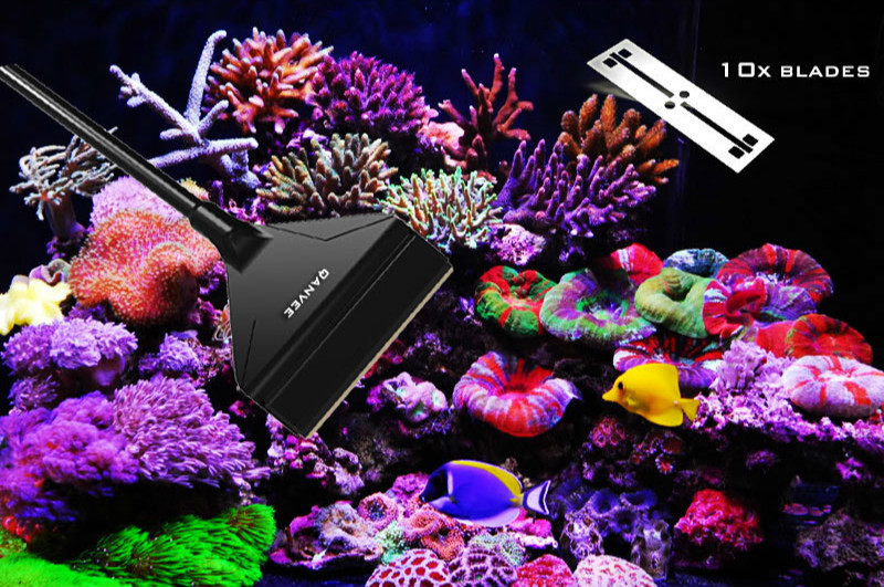 QANVEE アルミマグネシウム合金回転式こする藻類ナイフク - Algae Scraper Blade のレビューと価格
