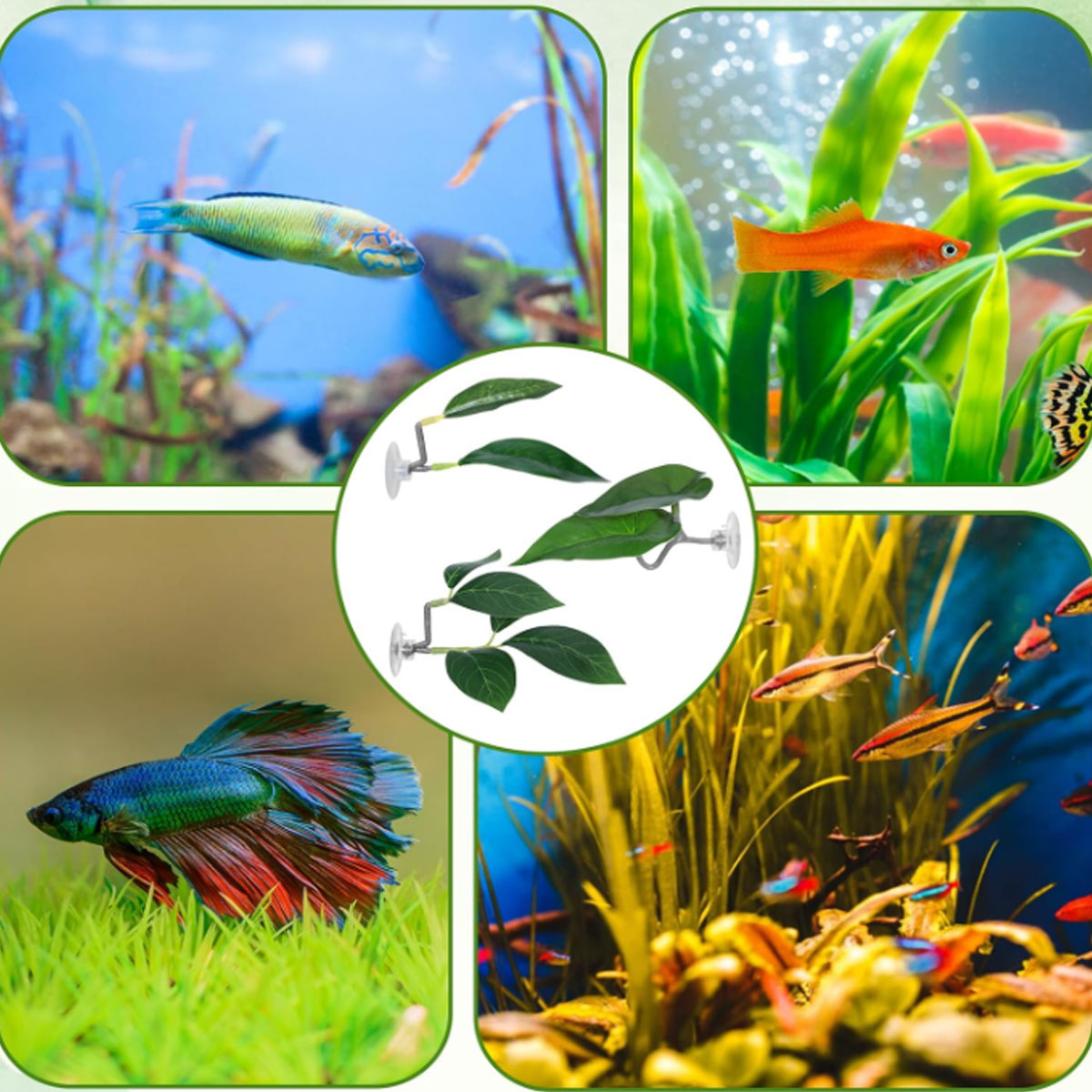 1 PC ベタフィッシュハンモック ソフト水槽装飾 プラスチ - Aquarium Fish Enrichment のレビューと価格