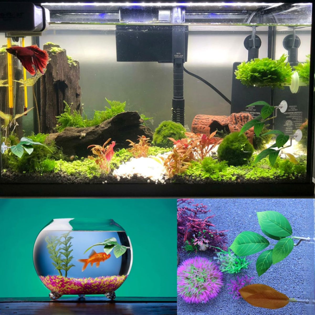 1 PC ベタフィッシュハンモック ソフト水槽装飾 プラスチ - Aquarium Fish Enrichment のレビューと価格