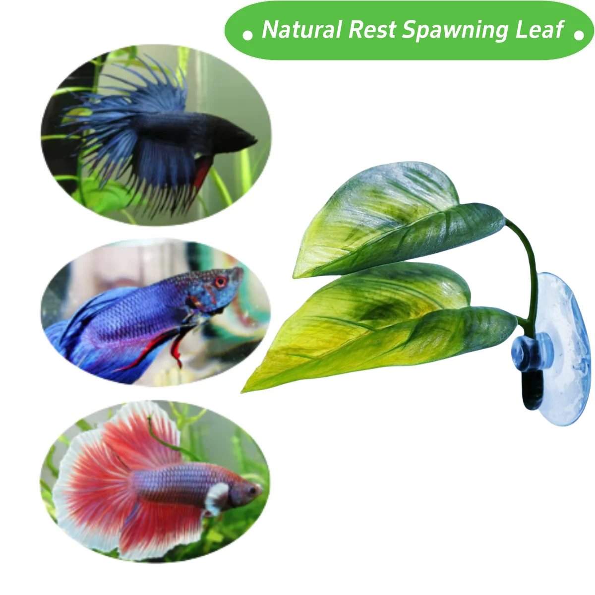 ペット水槽装飾 ベタ用 リラックス プレイプランツ 葉っぱ  - Aquarium Fish Enrichment のレビューと価格