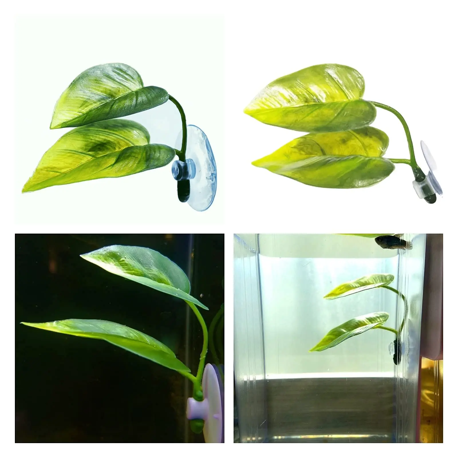 ペット水槽装飾 ベタ用 リラックス プレイプランツ 葉っぱ  - Aquarium Fish Enrichment のレビューと価格