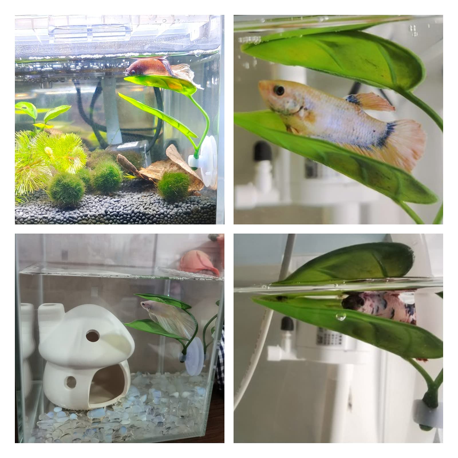 ペット水槽装飾 ベタ用 リラックス プレイプランツ 葉っぱ  - Aquarium Fish Enrichment のレビューと価格