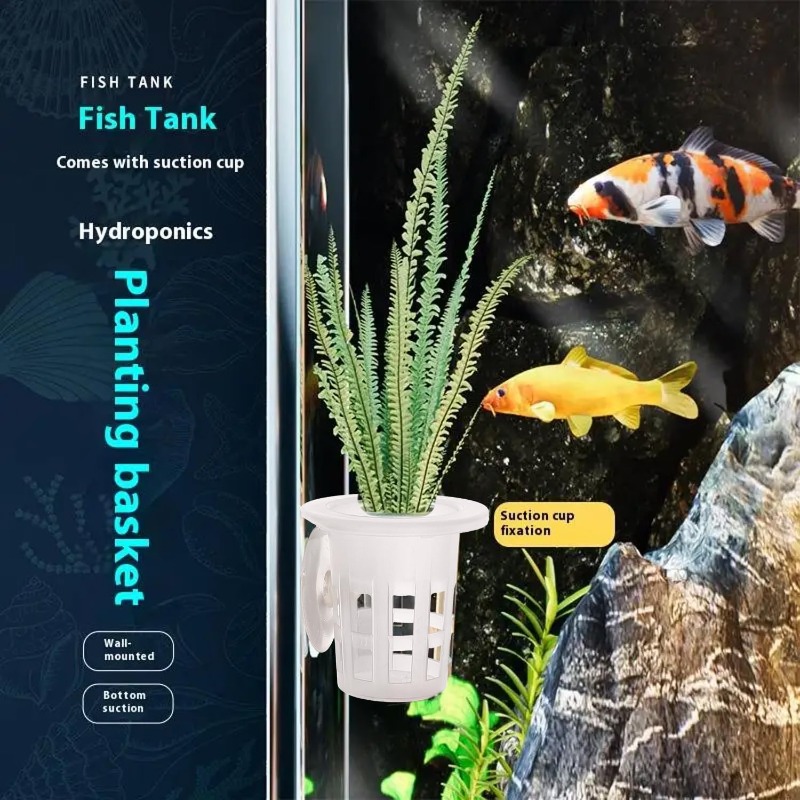 10/20/30個入りプラスチック製水槽用植栽カップ、吸盤付 - Aquarium Fish Enrichment のレビューと価格