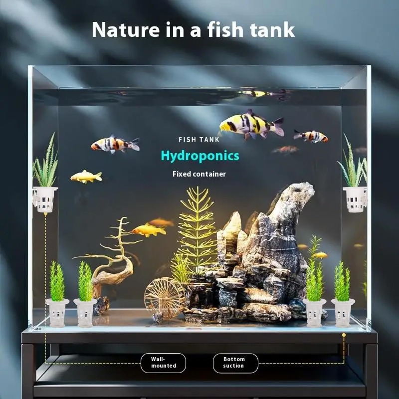 10/20/30個入りプラスチック製水槽用植栽カップ、吸盤付 - Aquarium Fish Enrichment のレビューと価格