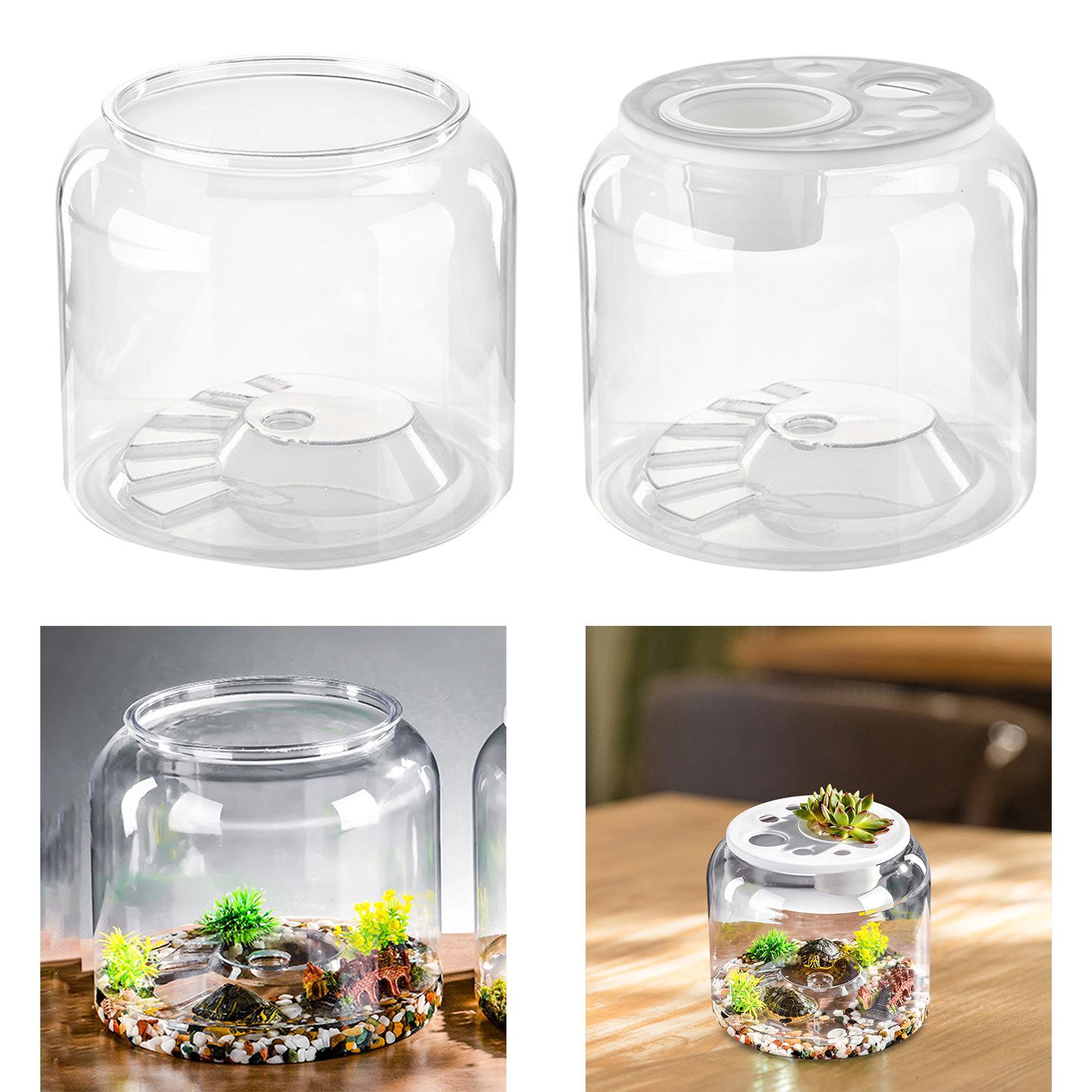 アパートの寝室や居間用の亀用テーブルトップ爬虫類飼育ケージ - Aquarium Fish Drawing のレビューと価格