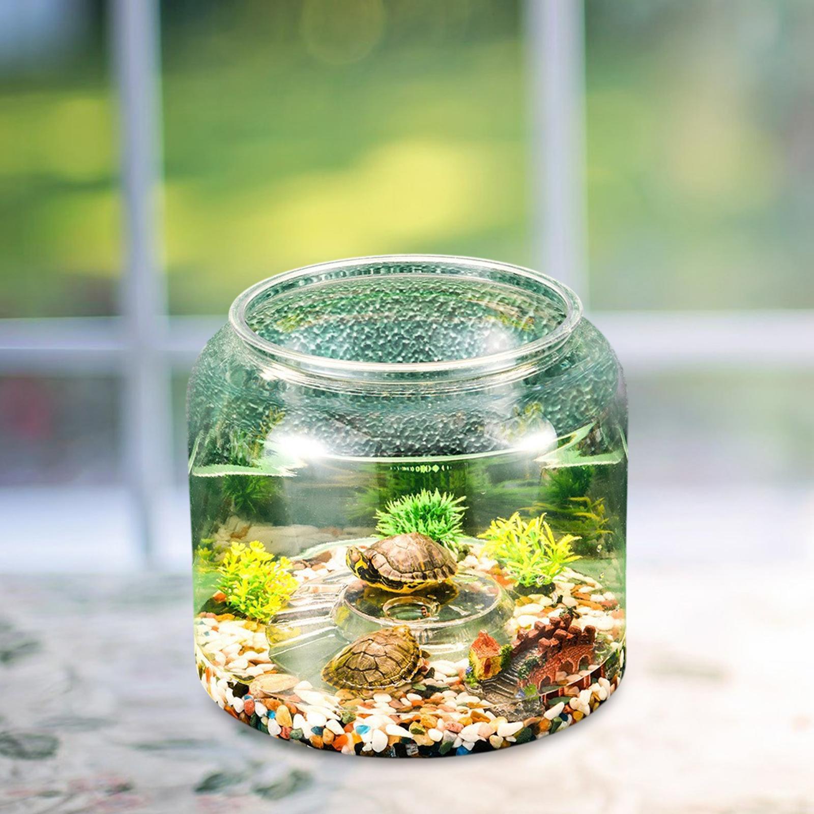 アパートの寝室や居間用の亀用テーブルトップ爬虫類飼育ケージ - Aquarium Fish Drawing のレビューと価格