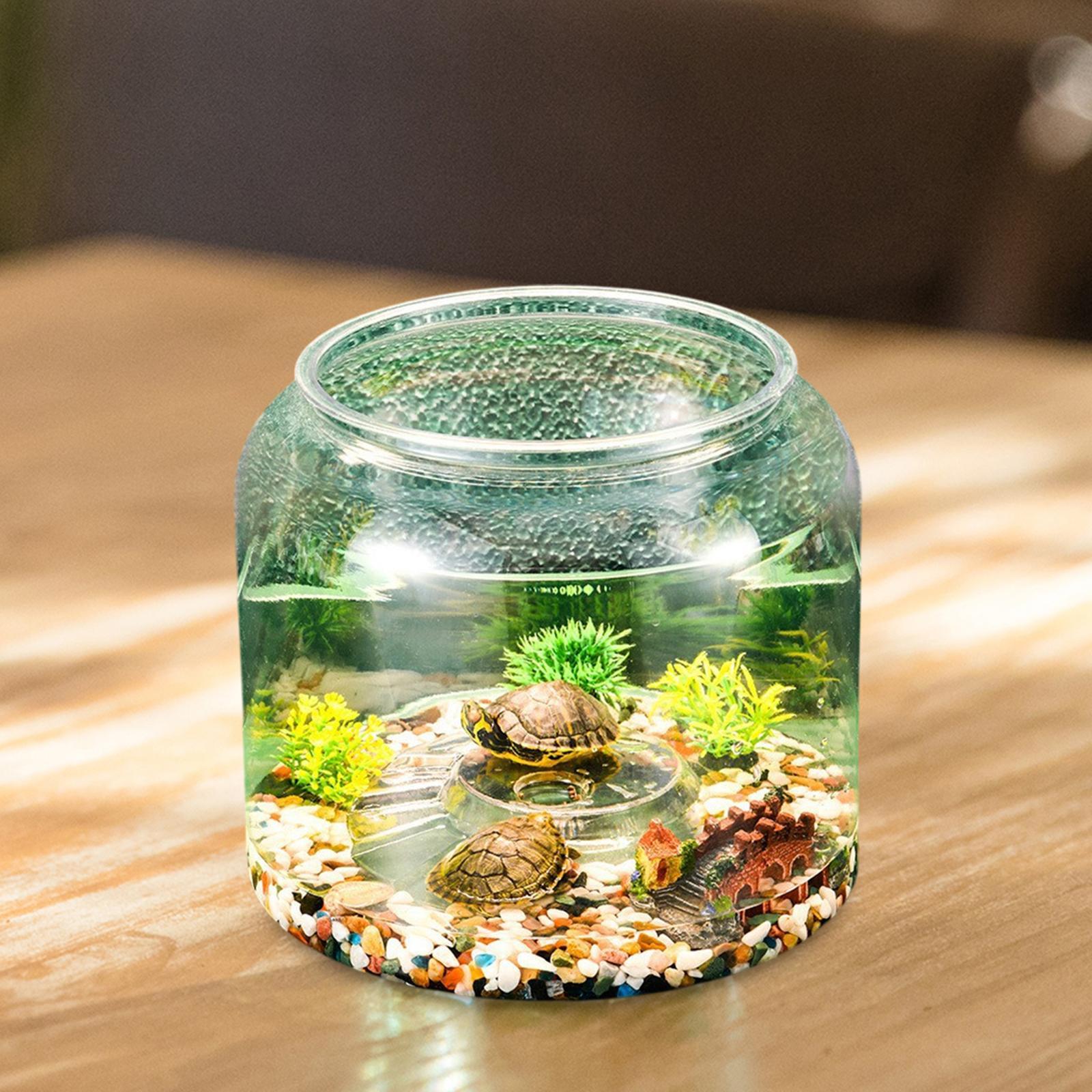 アパートの寝室や居間用の亀用テーブルトップ爬虫類飼育ケージ - Aquarium Fish Drawing のレビューと価格