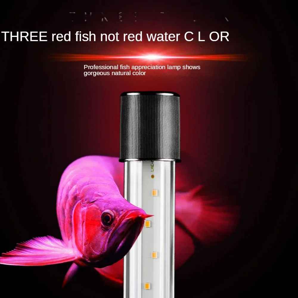 アロワナランプ、LEDガラス水族館風景ランプ、オウム魚、熱帯 - Aquarium Fish Parrot のレビューと価格